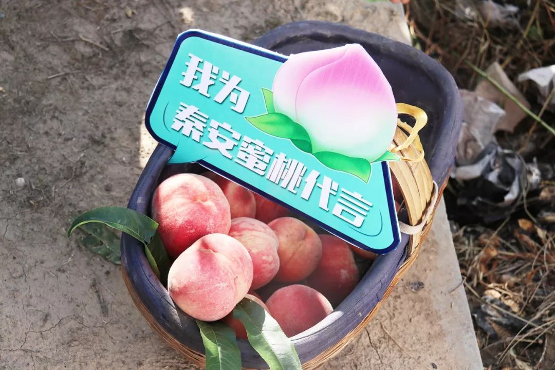 开心视频 可以告诉我你的开心视频喜好