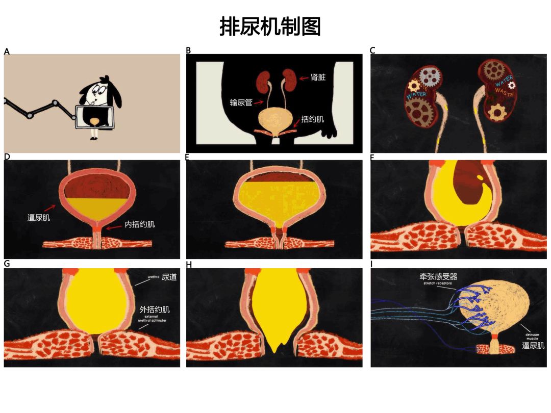 免费费很色视频大片