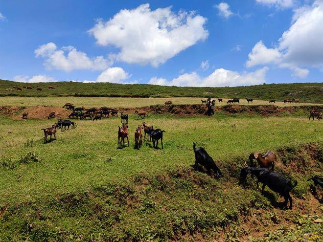 暖暖视频 免费 高清 日本 免费吸引了大量忠实用户