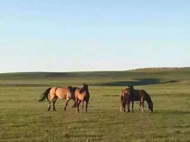 今日吃瓜泄密 竞品对比、吃瓜聚焦娱乐领域