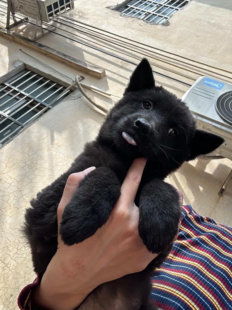 同人影视 同人影视角色或设定