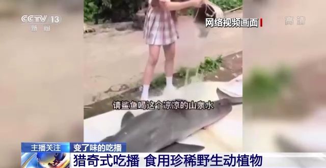 天美传媒 麻豆tv