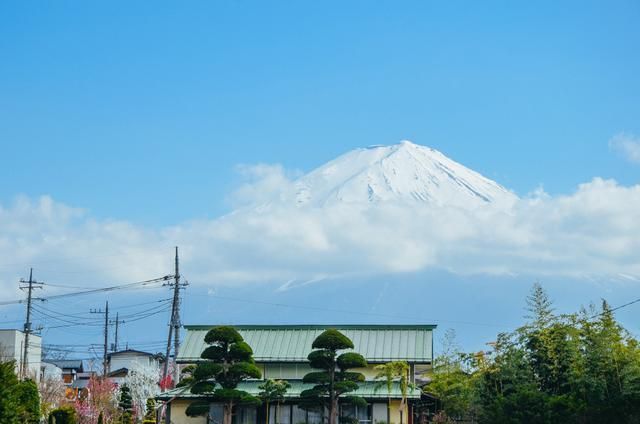 亚洲熟妇无码久久精品疯狂的石头