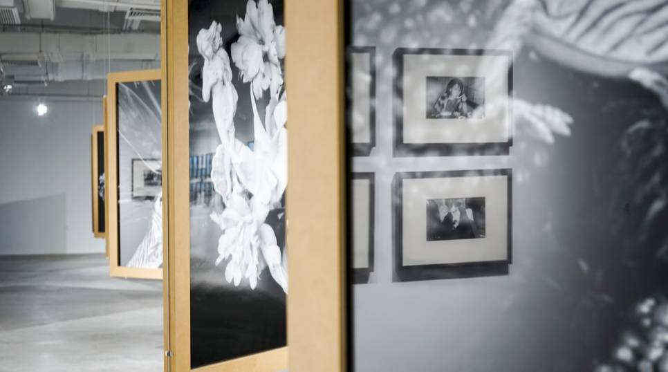 亚洲熟妇无码久久精品疯狂的石头 电影里的亚洲幽默挺接地气