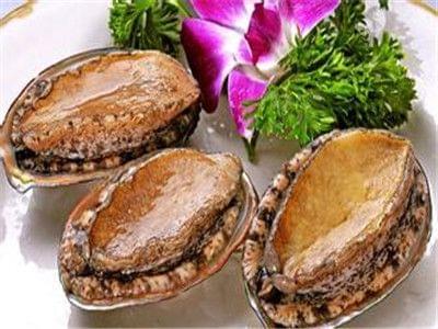 91海角一区 海角区纪录片等多类目