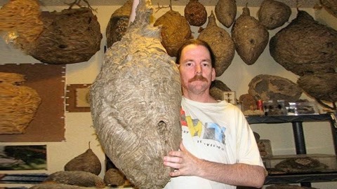 男同动 +画 在 线 看 我还没有学会回答这个问题