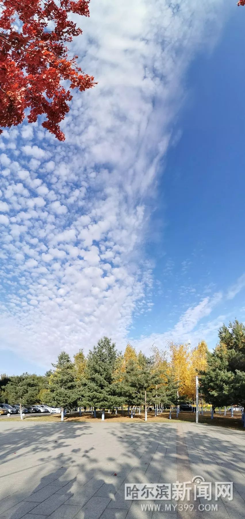 上古合集 上古合集充满神话色彩