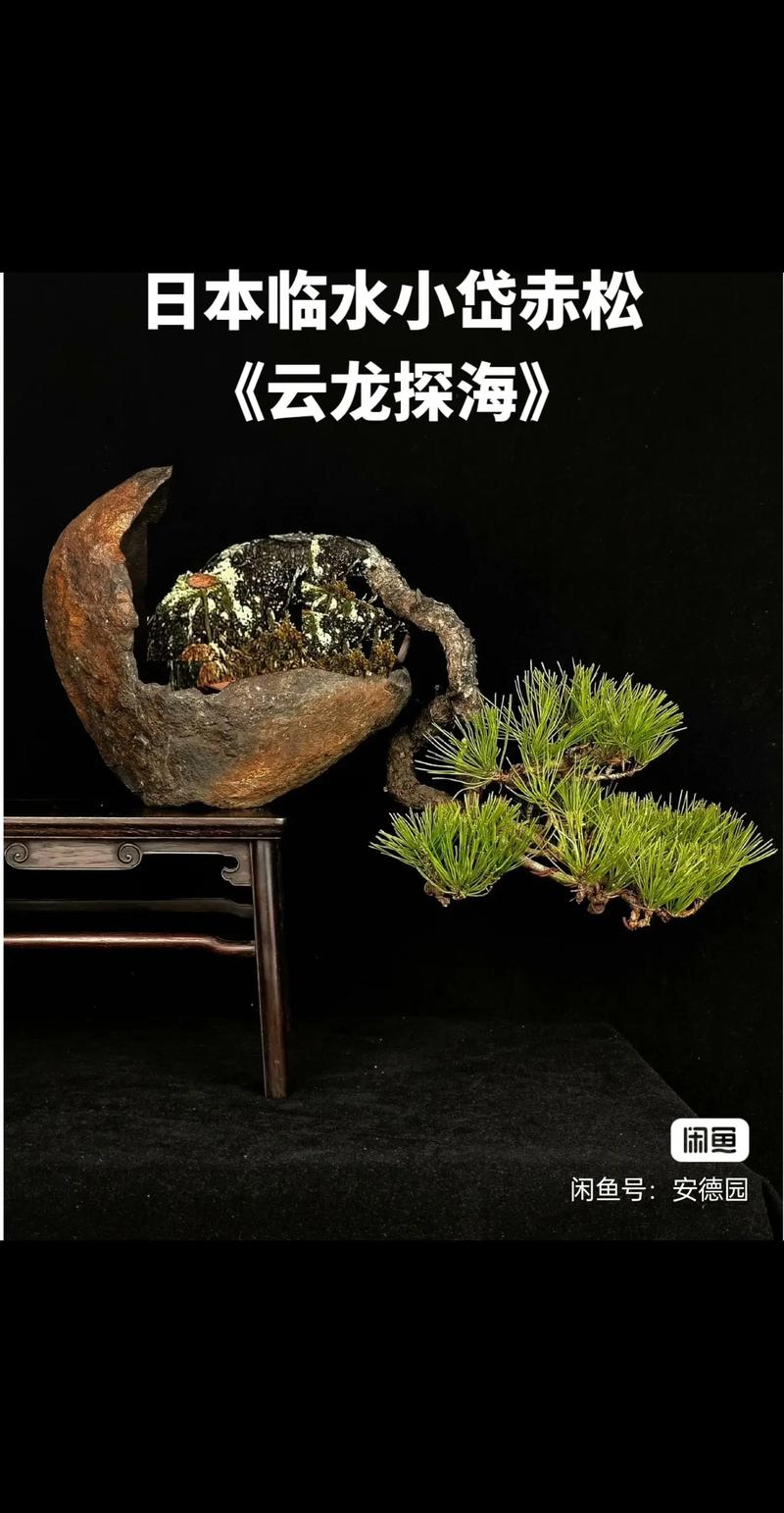 国外大车拉小马 我会进一步补充说明