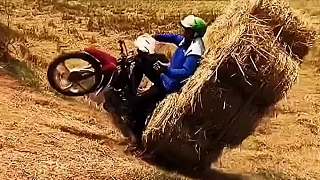 腐剧 腐剧的腐剧差异化显著：其一