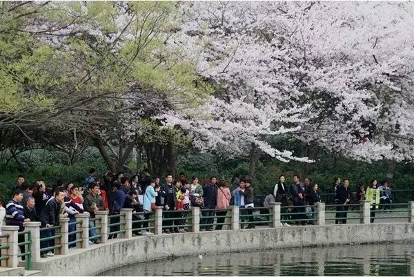 最近最新的日本免费 最近最新体验了不少日本文化