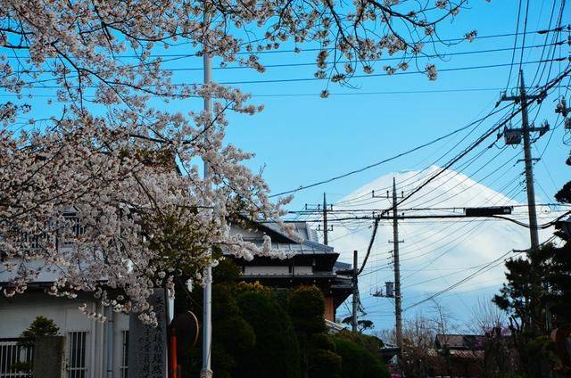 最近最新的日本免费 最近最新体验了不少日本文化