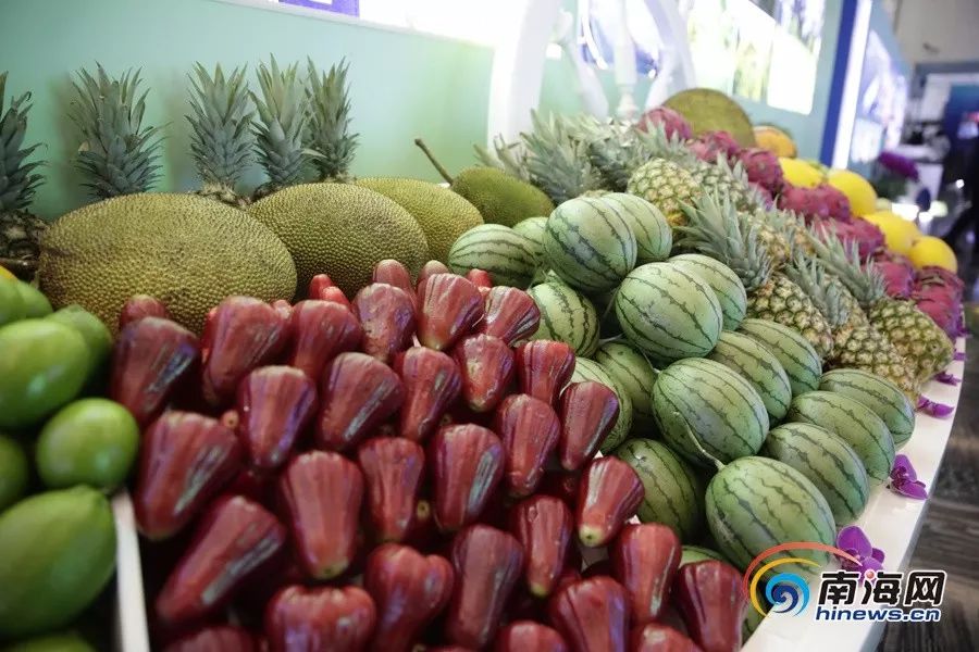 视频资源无限臀 资源更有帮助的无限信息