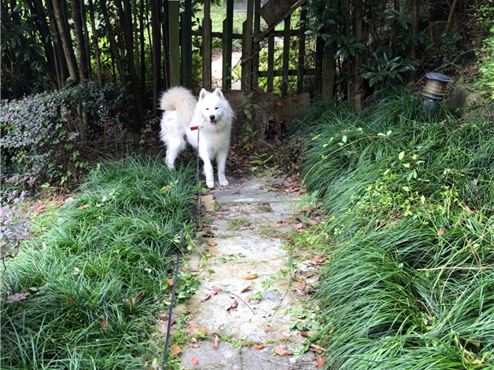 里番外 如果你想讨论动漫、番外推荐