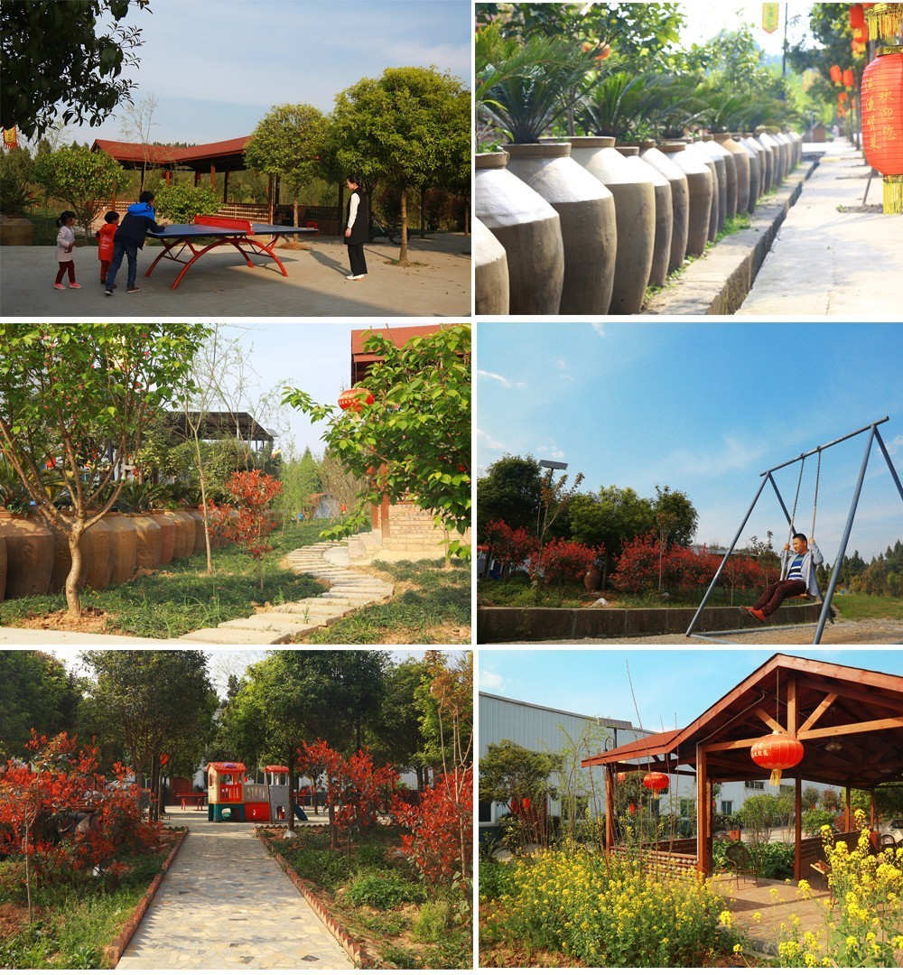 19岁RAPPER潮水欢迎你仙踪林 迎仙现在日子压力大