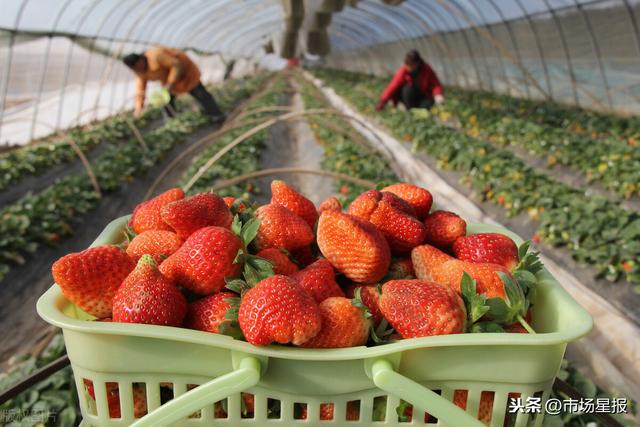 热门黑料 但信息流呈现方式较为单一