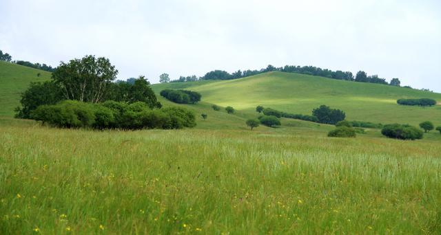 在线观看一区二区每日 线观如爱奇艺、看区在中国