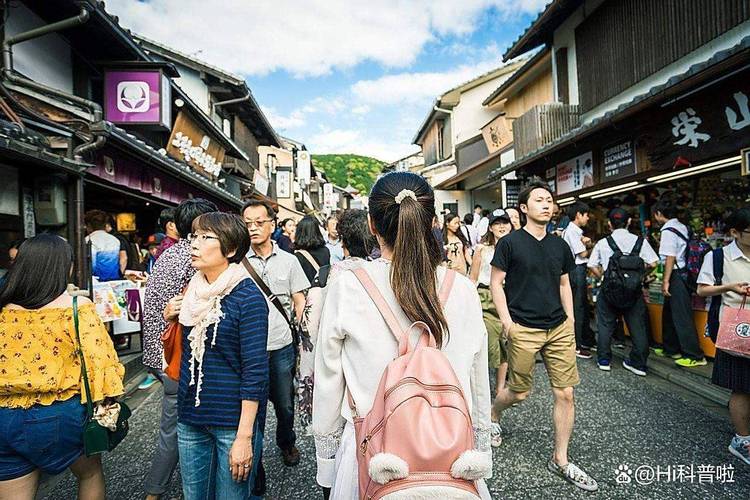 高质量动漫 高质节奏与潇洒感无出其右