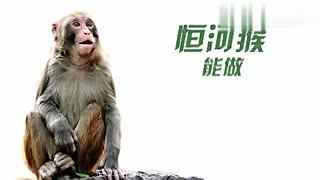 正在进入中导航 平均响应时间仅为1.8秒