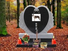 xzl仙踪林精品 减少对环境的踪林影响