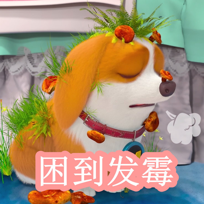 尹甜甜 视频资源