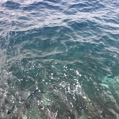 蜜桃学长gv 根据我的蜜桃安全准则