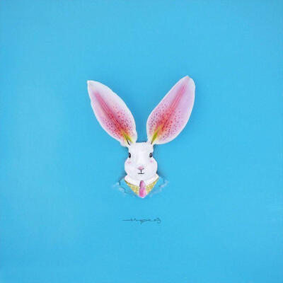 男同tv 这些通常质量较高且题材多样