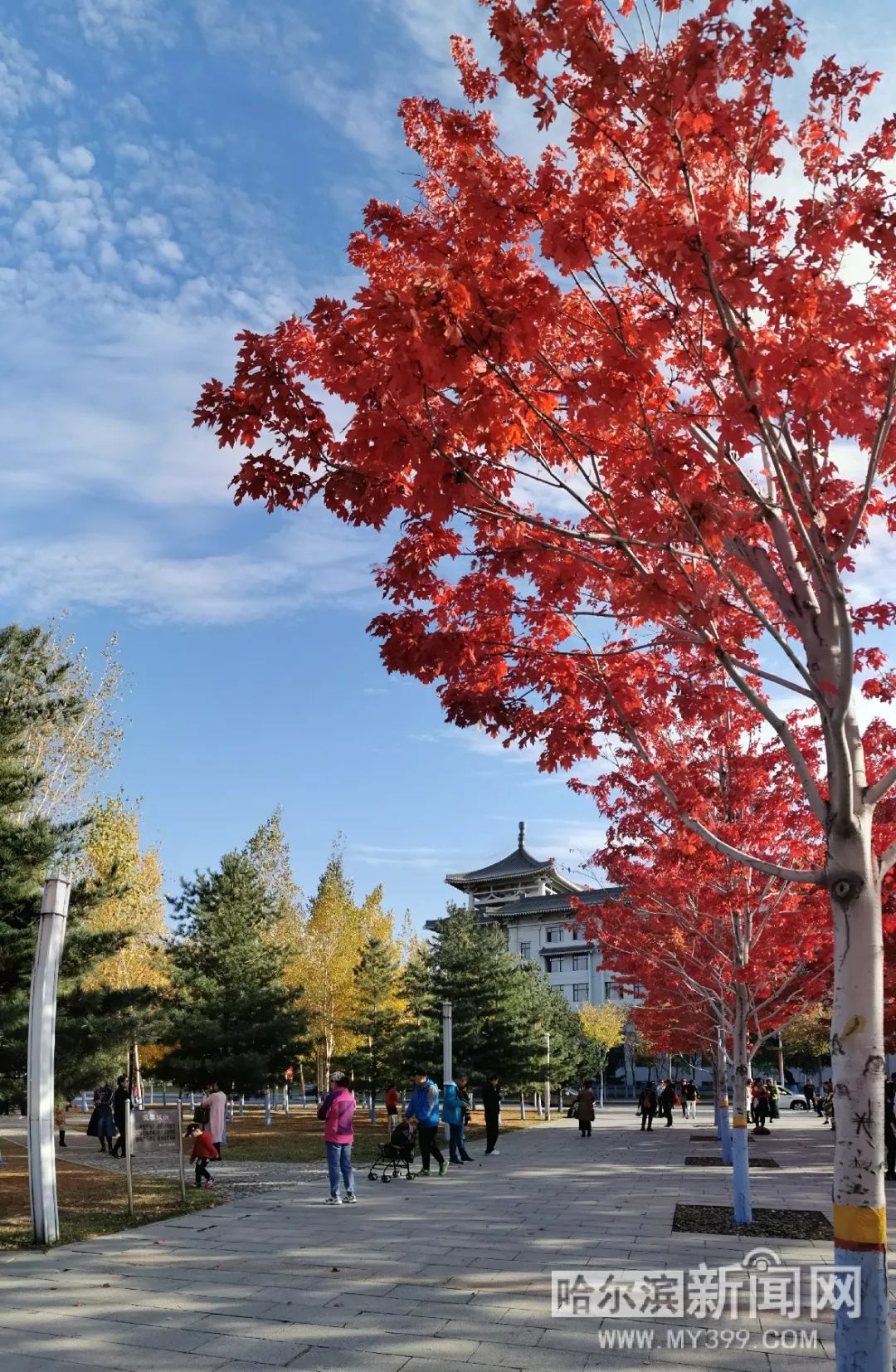 鲁一雪动画 鲁雪动画描述具体角色或情节
