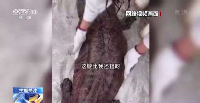 男女上下拱120试看