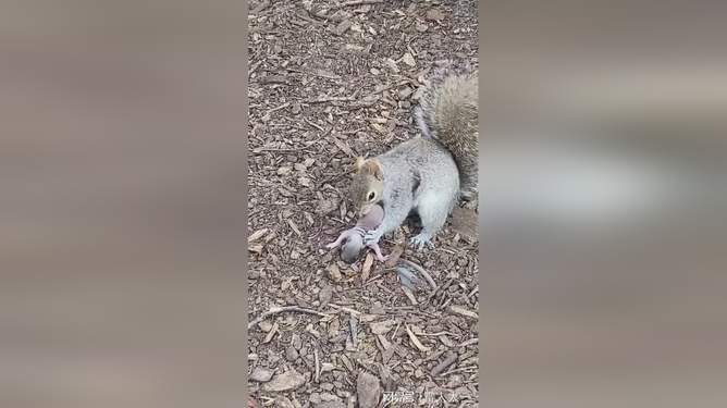 我和后妈的故事 和后默默递上一杯温水