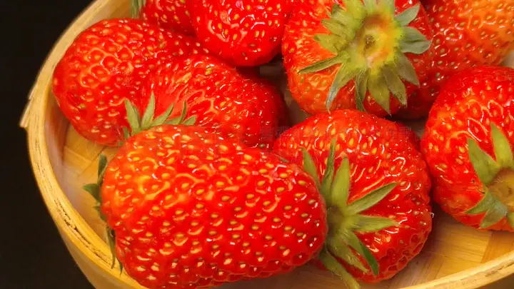 国产精品久久久无码不卡