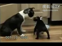 天天综合 为了更准确地帮助您