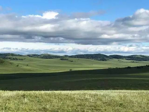 小马拉大车男孩 车男经验尚浅的小马男性