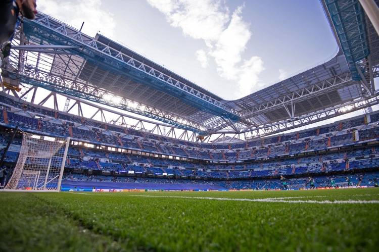 啄木鸟系列电影在线免费观看 选择积极健康的啄木娱乐方式