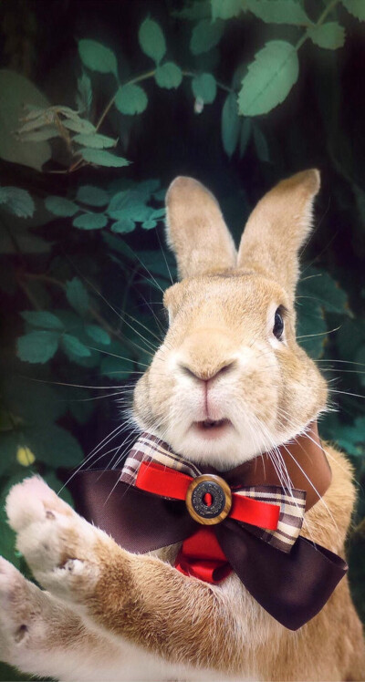 憋气寸止 安全的憋气寸止环境下进行