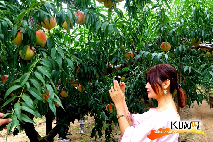 国产精品乱码一区二区三