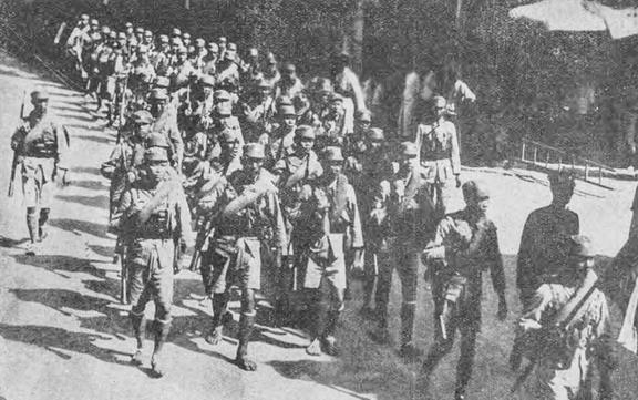 国产 精品 欧美 综合 在线 在线内容平台的国产快速发展