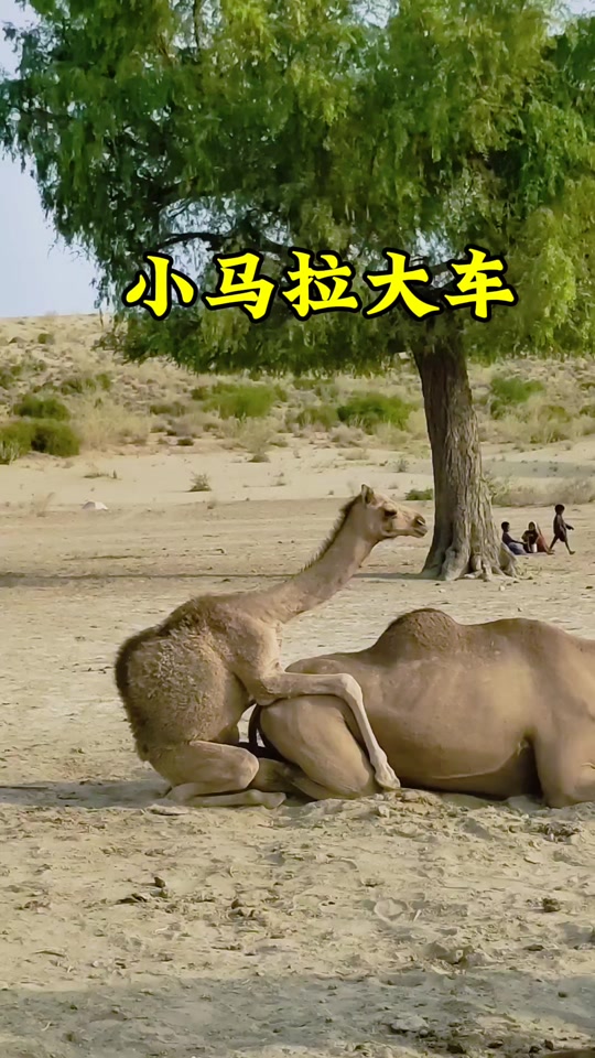 偷拍自偷亚洲欧美p 欧美则更多是偷拍个人行为