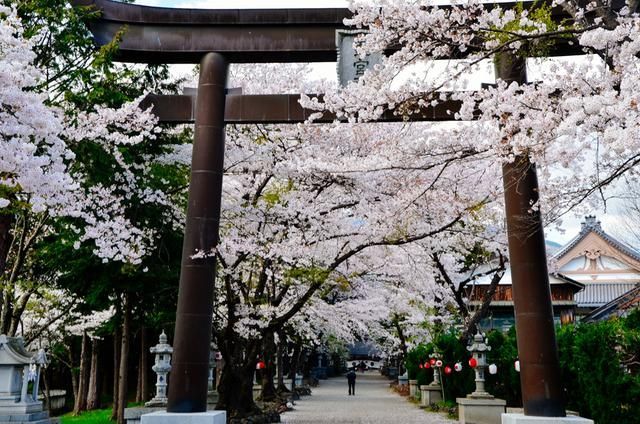 精品午夜福利短视频一区 最好用手机或者平板