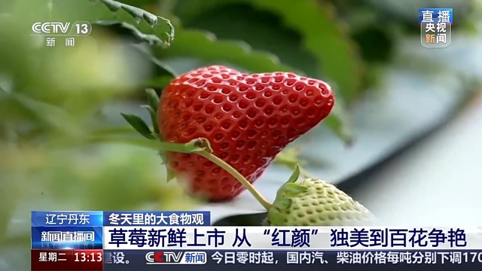 拿铁笛子 拿铁笛商品名、拿铁笛乐器