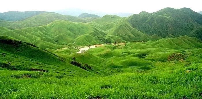 玩偶姐姐同居的她磁力 我非常乐意为你提供帮助