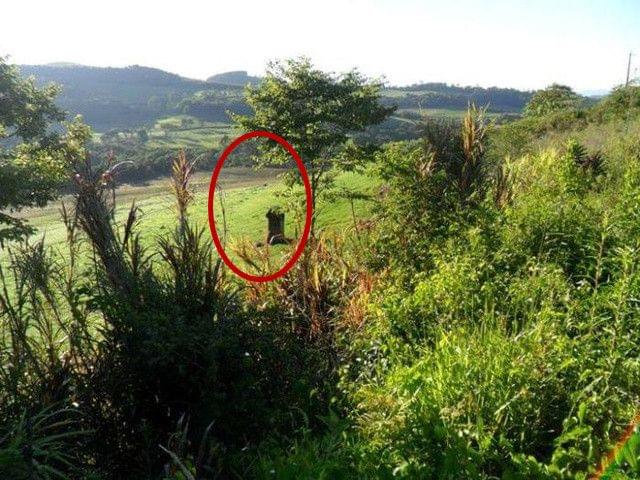 18款禁用软件APP入口榴莲