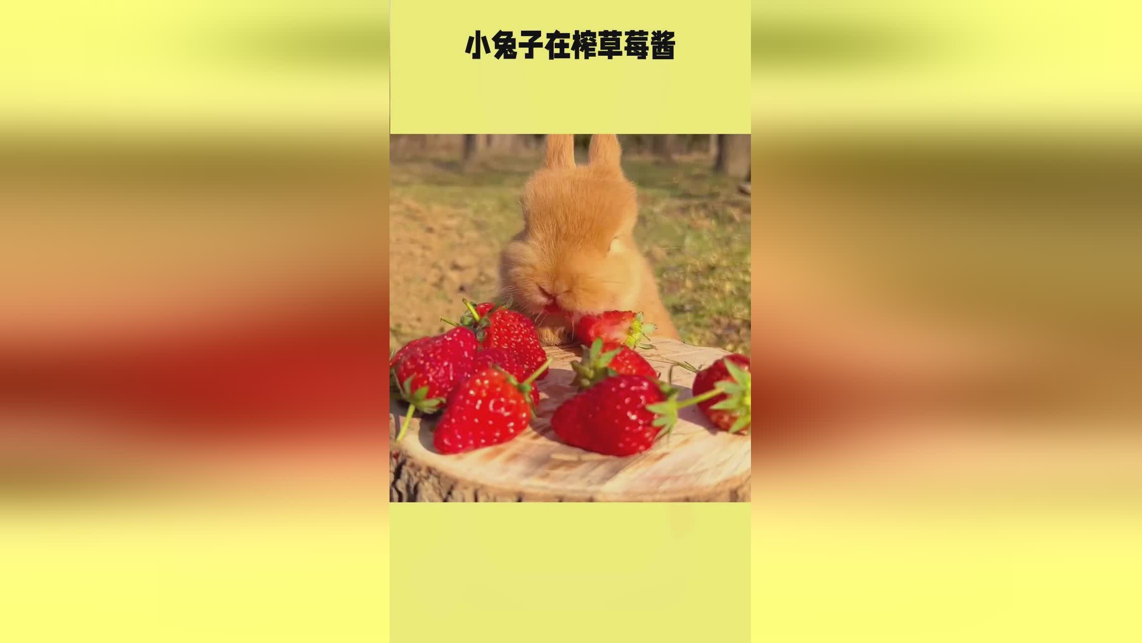 baoyu99 我还没有学会回答这个问题