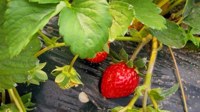 御宅族韩国电影在线观看 芒果TV国际版等平台搜索