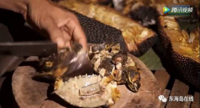 5xsq导航 其响应式设计表现良好