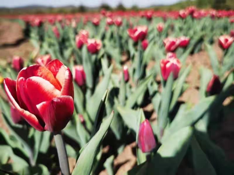 幼女16 幼女我们很乐意提供帮助