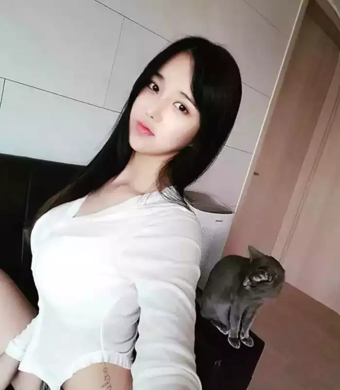 糖心在线观看免费