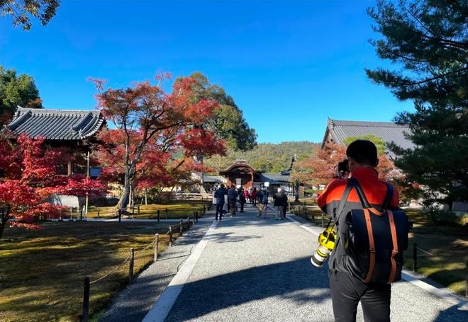 51热门大瓜 是高效的“网络冲浪指南”