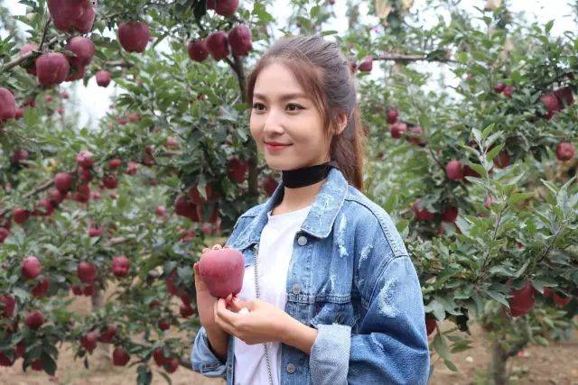 国产精品视频免费一区二区三区 选择进入不同区域探索