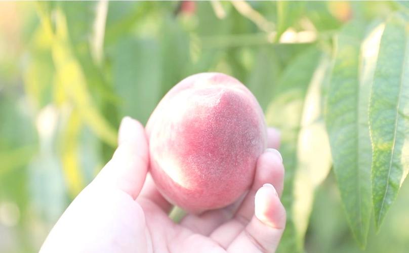 外网3d同人 发言前请先阅读版规