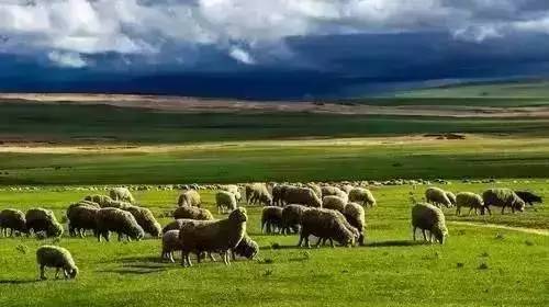 第一页综合 看到“第一页综合”这个标题